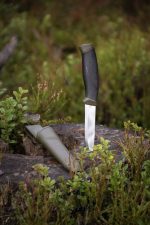 کارد بوشکرفت موراکنیو کامپنیون | Morakniv Companion (S) - Image 4